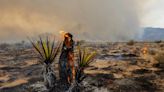 York wildfire still blazing, threatening Joshua trees in Mojave Desert