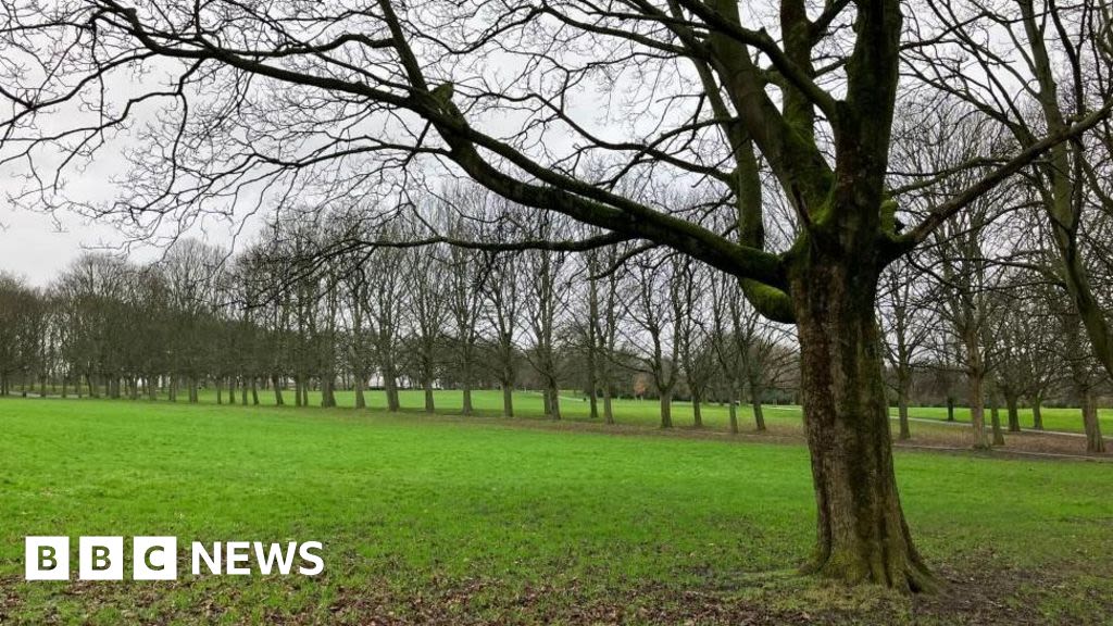 Mother admits killing five-month-old baby found in Leeds park