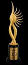 International Indian Film Academy Awards