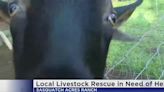 Local Livestock Rescue in need of help