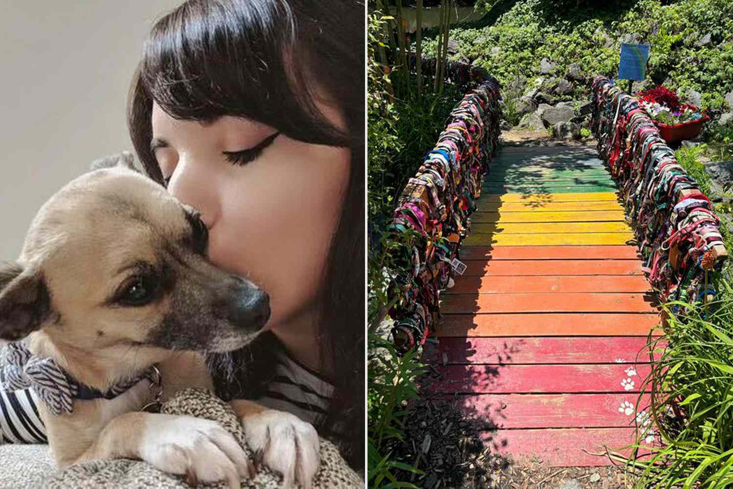 Woman Drives 8 Hours to Rainbow Bridge Dog Memorial to Honor Late Chihuahua: 'One Last Adventure' (Exclusive)