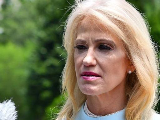 Kellyanne Conway mocked by ex-husband after Kamala Harris attack on Fox News