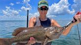 SALTWATER: Good catches of gag grouper reported offshore and inshore