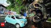 Trim 75 and cut 16 dangerous trees in city: Forest dept report | Goa News - Times of India