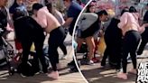 Wild Disneyland beatdown by mob of moms caught on shocking video