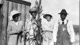 This Colorado site could become a national park honoring Black history: Why Dearfield matters