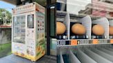 台南現「雞蛋自動販賣機」！全台唯一超搶手 網震驚：不會破