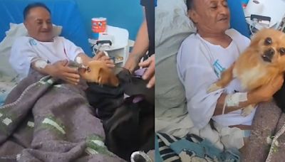 Ocultó a la perrita de su papá en una mochila para que él pudiera verla en el hospital