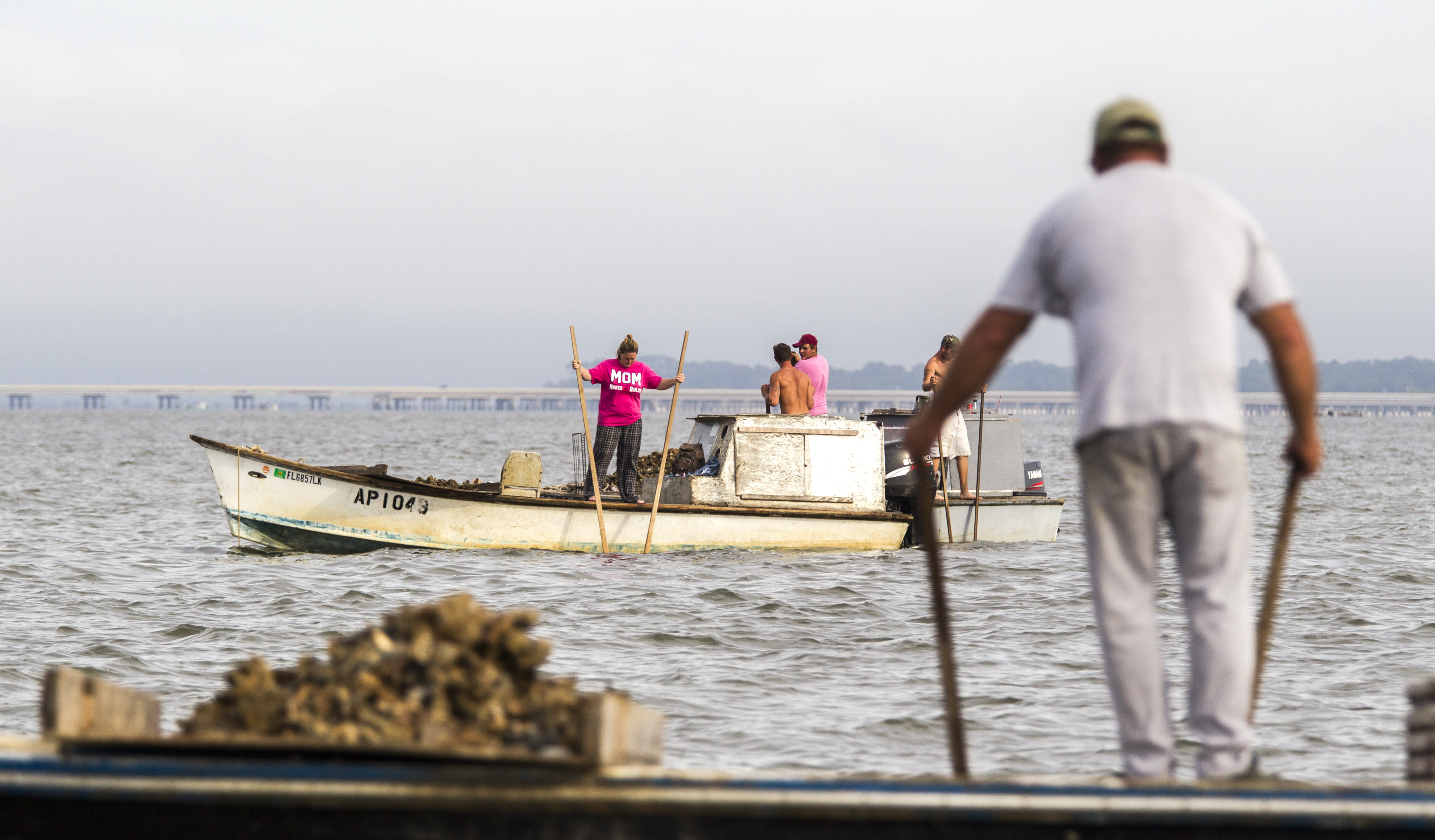 Environmentalists worry plans to drill near the Apalachicola River could hurt the ecosystem