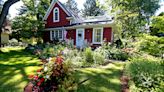 Fox Point woman's 'garden gone wild' illustrates native plants' tendency to sprout all about