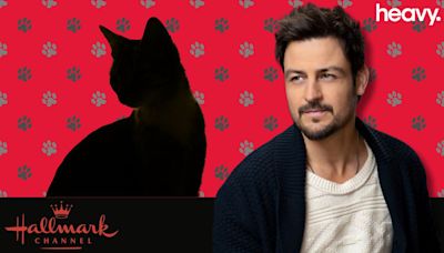 Tyler Hynes Teams Up with Purrrfect Cat Co-Star in New Hallmark Movie