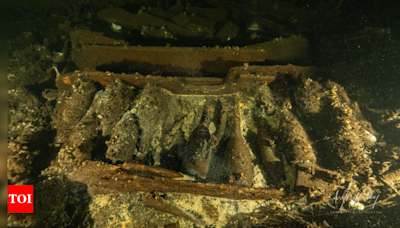 19th-century Baltic shipwreck loaded with champagne uncovered by Polish divers - Times of India