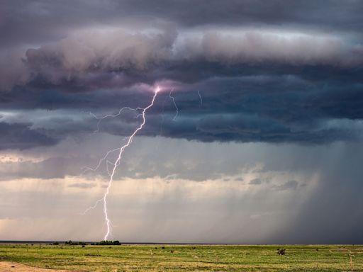 Rancher and 34 Cattle Killed by Same Lightning Strike in Colorado: 'It Hit Them All'