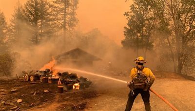 U.S. Senators Joe Manchin and John Barrasso Urge U.S. Government Accountability Office (GAO) to Review Federal Land and Wildfire Management Practices