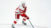 Lucas Raymond building his value with Detroit Red Wings: 'He's our game decider'