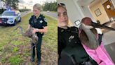 Florida deputy saves injured sandhill crane: See the photos