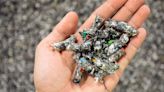 Plastic recycling company plans $1 billion investment in Georgia