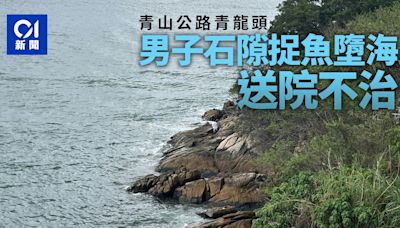 青山公路青龍頭六旬男岸邊捉魚期間墮海 昏迷送院不治