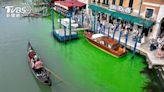 詭異！威尼斯運河染成鮮豔「螢光綠」 居民起床看到崩潰