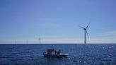 How scientists are growing seafood under offshore wind farms