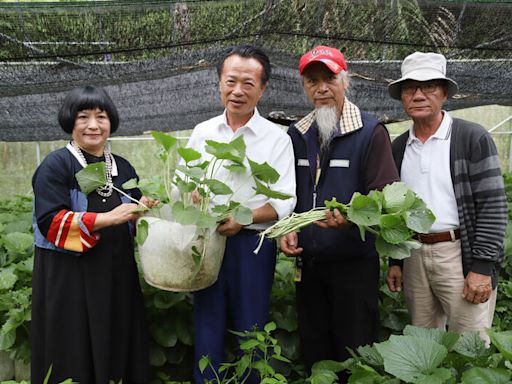 翁章梁到阿里山關心山葵復育情形 (圖)