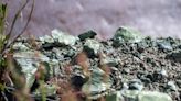 B.C. limits new jade mining activities in province’s northwest