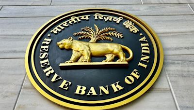 India's Financial System Stronger Than Ever: RBI Deputy Governor Rao