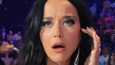 American Idol's Katy Perry jokes she's an 'annoying girl' as fans praise humor