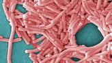 Two diagnosed with Legionnaires’ disease after hotel stay, NH officials say. One died