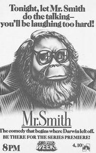 Mr. Smith (TV series)