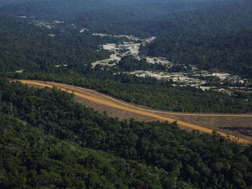 Mônica Bergamo: Apreensão de drogas cresce em estados da Amazônia que reduzem desmatamento, diz centro do Ministério da Justiça