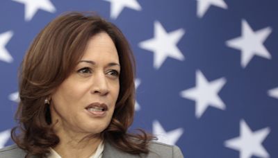 Kamala Harris mocked for 3-word response, ignoring Hamas ceasefire question