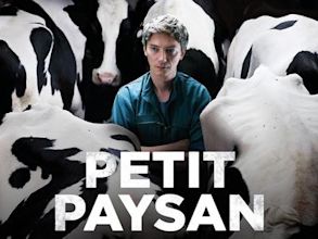 Petit Paysan