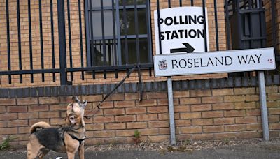 What do the local election results mean for the general election?