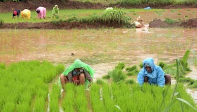 Heavy rains: Holiday declared for schools in Uttara Kannada