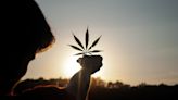 Are The Illicit Market, Curaleaf And Trulieve The 3 Biggest Winners From Rescheduling Cannabis? - Curaleaf Holdings (OTC...