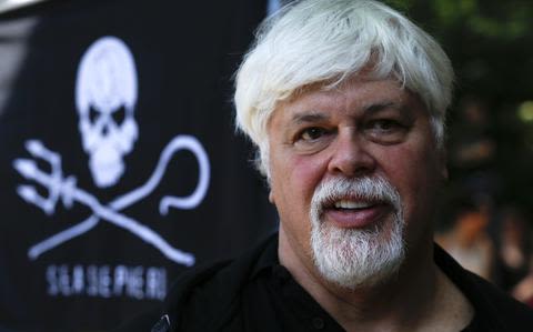 Anti-whaling campaigner Paul Watson arrested in Greenland. He faces possible extradition to Japan
