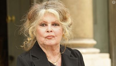 Brigitte Bardot : Ses os lui "jouent des tours", une aide lui est indispensable