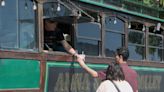 Grand Island trolley delights small towns with premium ice cream
