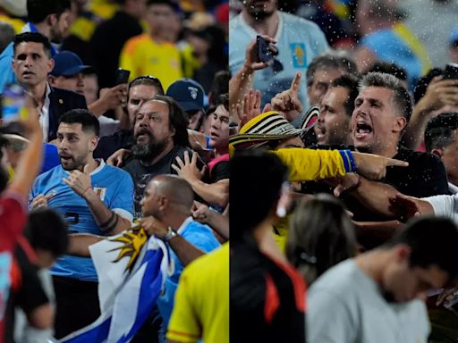 Liverpool Striker Darwin Nunez Punches Fans, Uruguay Players and Colombia Fans Get Into Brutal Fistfight - WATCH