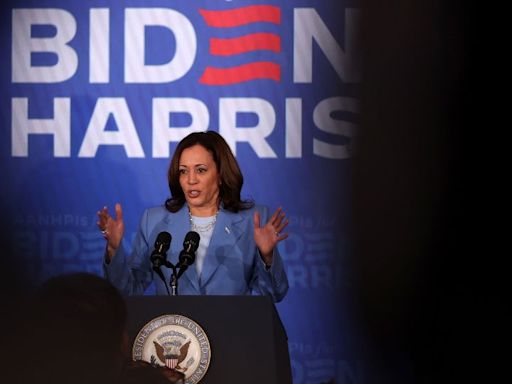 Harris under pressure to outline stakes of the election as Biden faces calls to step aside