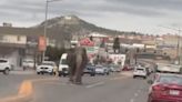 Elefante se escapa de circo en Montana y pasea por las calles
