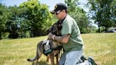 Michigan's National Guard turns to dogs to help stop veteran suicide