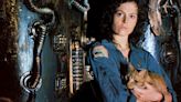 Jonesy, el gato de ‘Alien: El octavo pasajero’ que escapó del Xenomorfo y tiene su propio libro