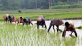 Telangana Govt’s Farm Loan Waiver Scheme To Benefit 70 Lakh Farmers: All You Need to Know