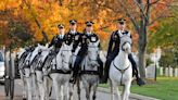 'Alarming': Two More Horses Die in Army's Premier Ceremonial Unit, Marking Four Since February
