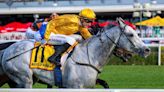 Classy European Import Bois d’Argent Takes Doomben Cup