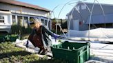 Female farmers use regenerative growing methods at Gracie’s Farm