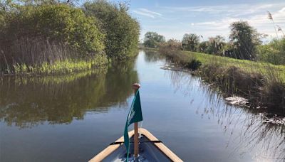 Wicken Fen marks 125 years with £1.8m peat project