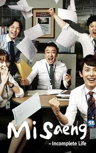 Misaeng: Incomplete Life